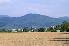 Blick in die Schwarzwald-Berge